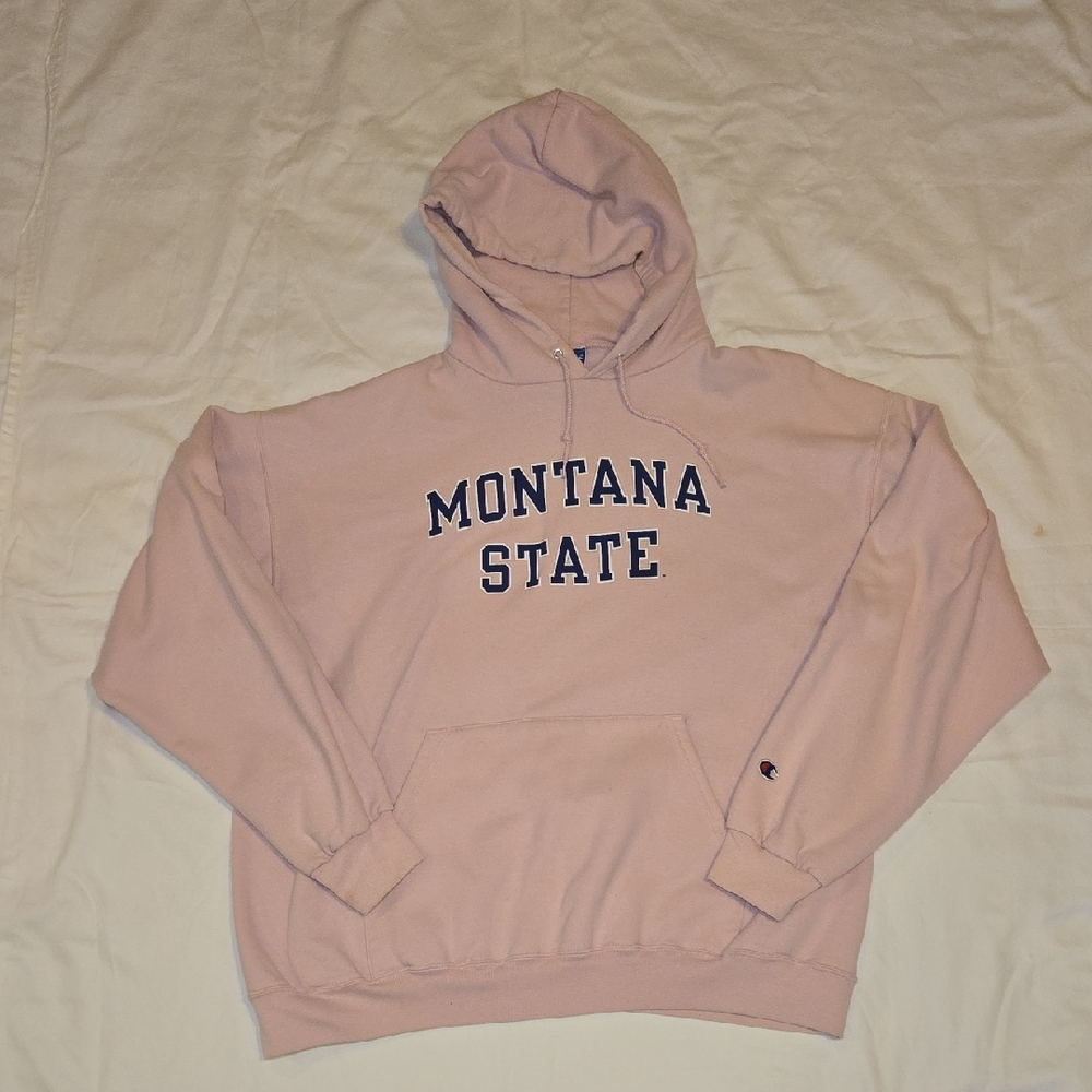 Champion Pink Hoodie with Navy Lettering